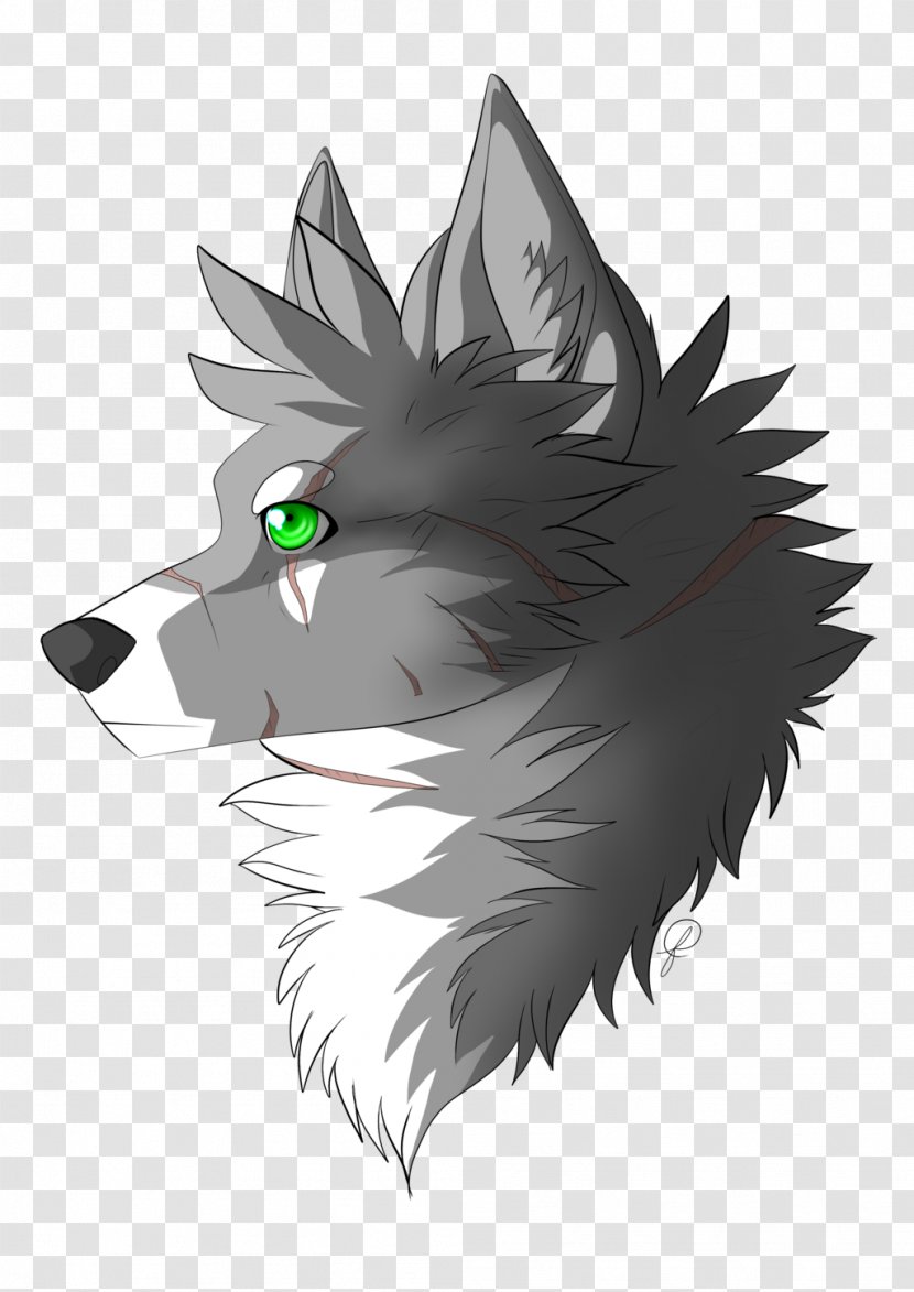 Whiskers Cat Dog Snout Transparent PNG