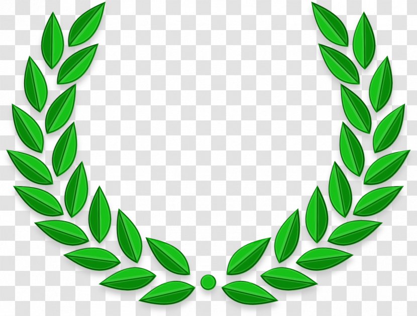 Laurel Wreath Bay Clip Art Vector Graphics - Green - Stock Photography Transparent PNG