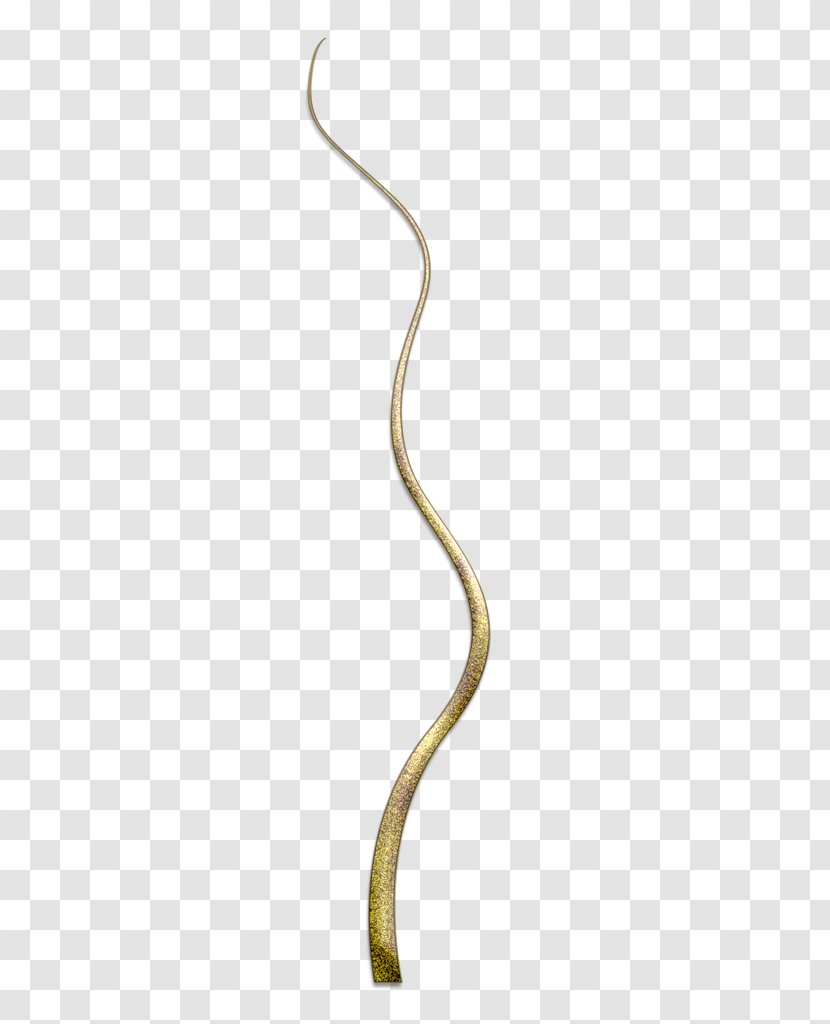Reptile Body Jewellery Transparent PNG