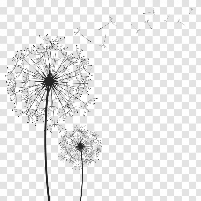 Clip Art Image Vector Graphics Dandelion - Symmetry - Wind Blowing Transparent PNG