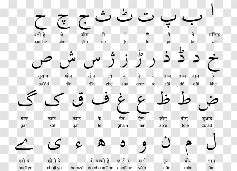 Devanagari Urdu Alphabet Hindi - Flower - Cartoon Transparent PNG