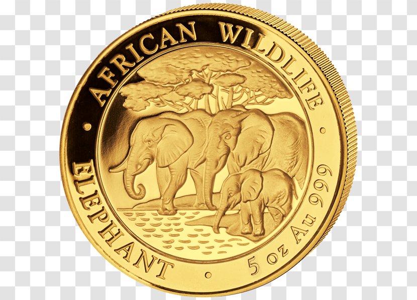Gold Coin African Elephant Elephantidae - Mint Transparent PNG