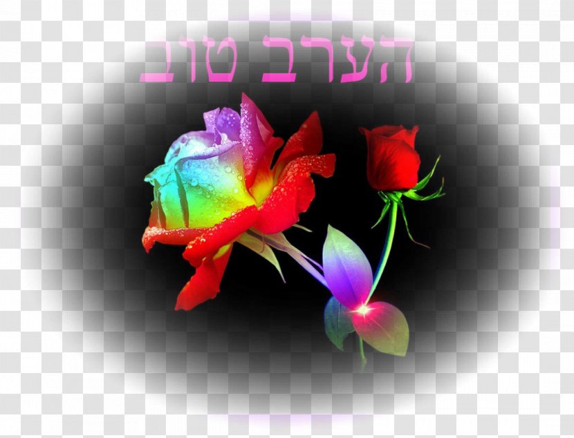 Desktop Wallpaper Image Photograph Flower Rainbow Rose - Family - Cosmic Consciousness Transparent PNG