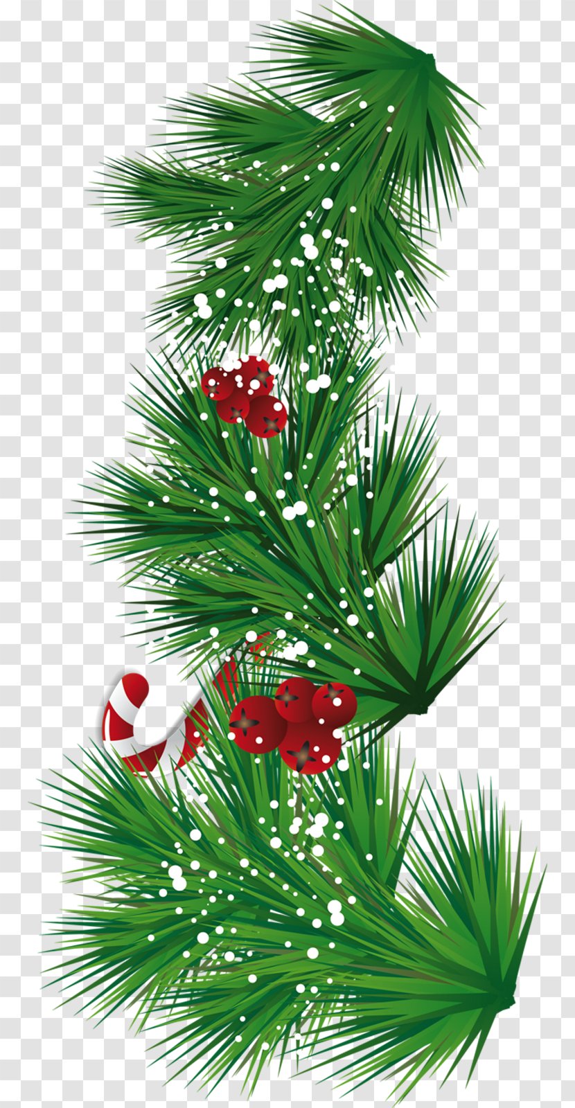 Candy Cane Santa Claus Christmas Tree Clip Art - Phoradendron Tomentosum - Pine Cone Transparent PNG