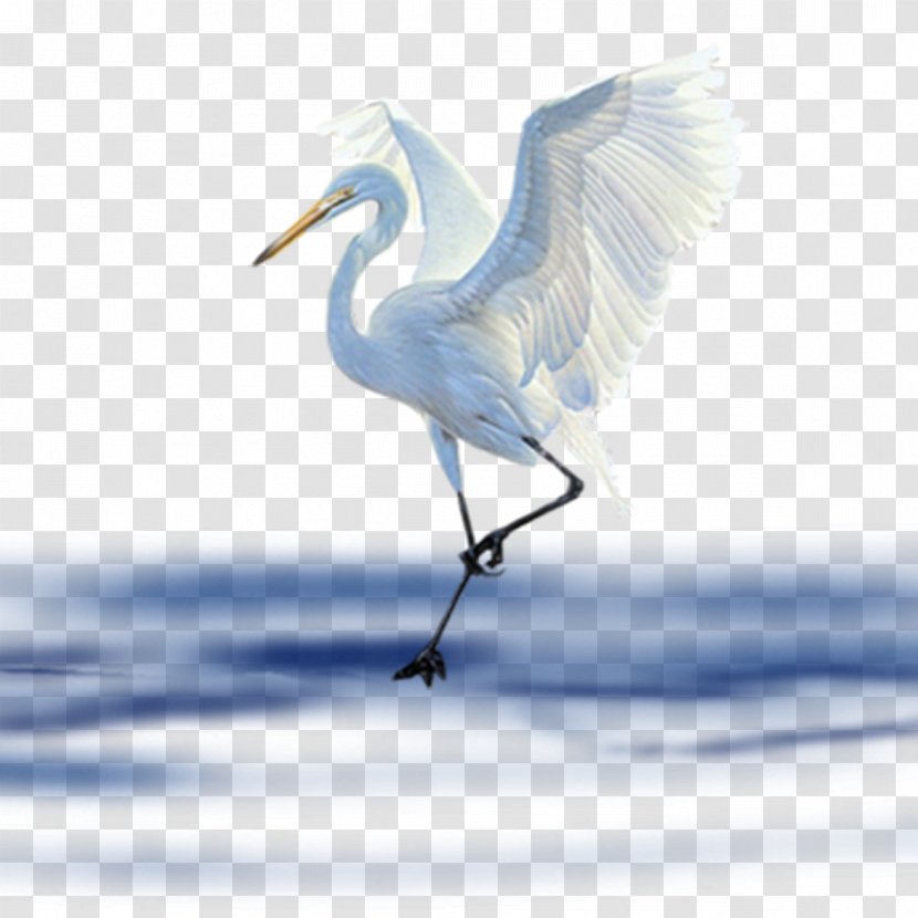 Bird Clip Art - Sky - Lake Crane Transparent PNG