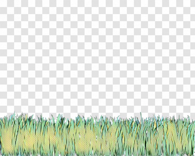 Grass Green Family Grassland Plant - Vintage - Lawn Meadow Transparent PNG