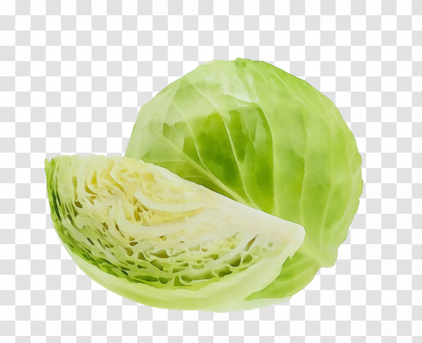 Cabbage Lettuce Vegetable Collard Romaine Lettuce Transparent PNG