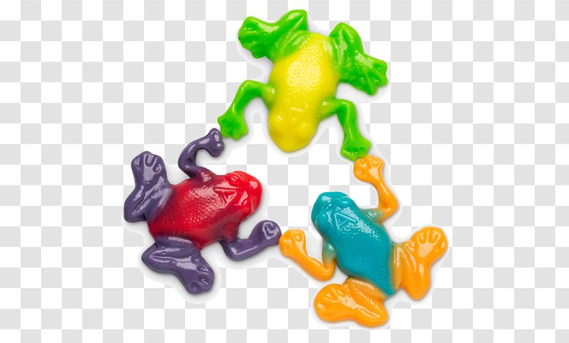 Gummy Candy Albanese Gummi Rainforest Frogs Bear - Frog Transparent PNG