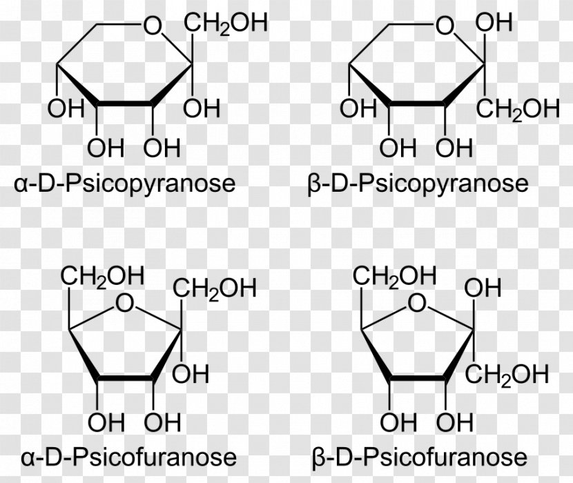 Psicose Haworth Projection Fructose Sorbose - Cartoon Transparent PNG