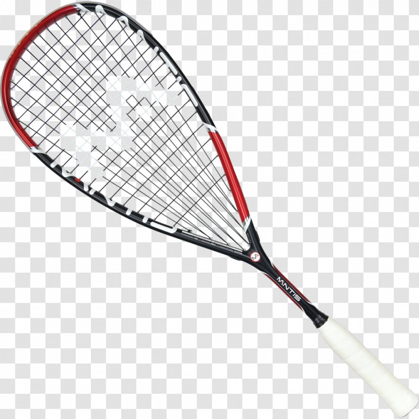 Racket Squash Racquetball Head Sport - Ball Transparent PNG