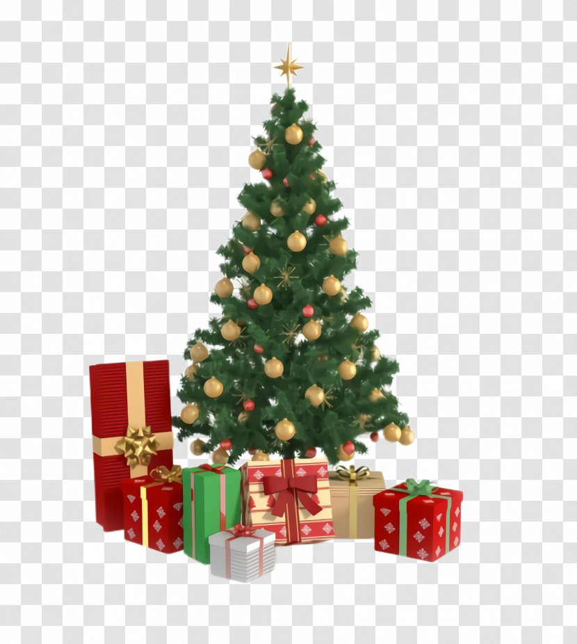 Christmas Tree - Decoration - Pine Fir Transparent PNG