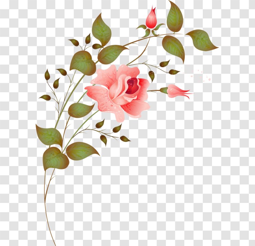 Flower Floral Design - Pink Pattern Vector Transparent PNG