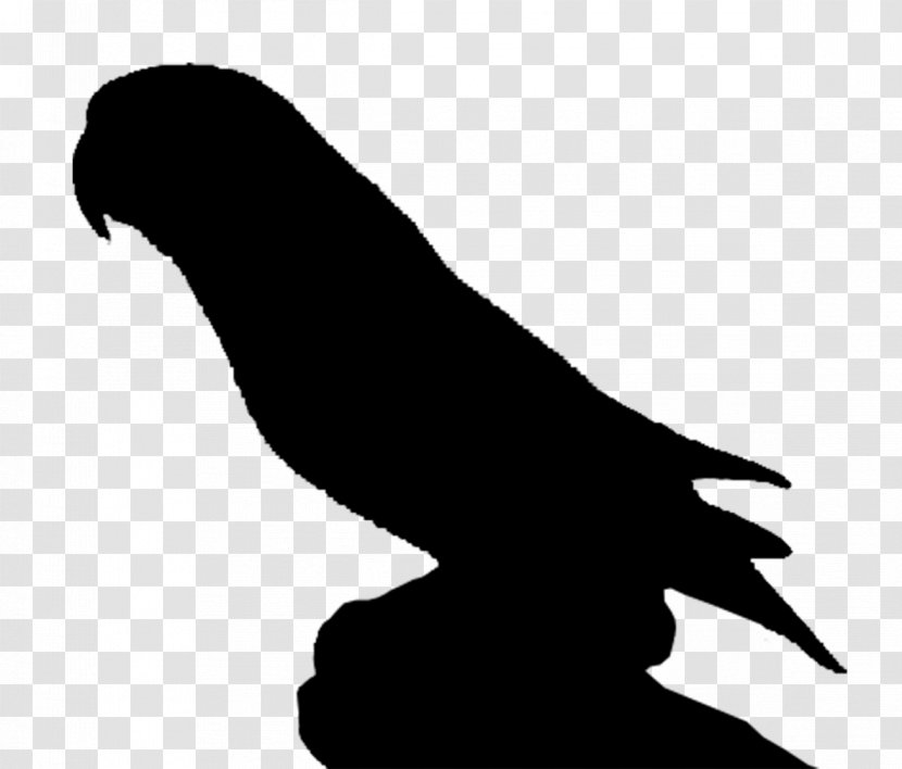 Beak Clip Art Silhouette H&M Black M - Wildlife - Falconiformes Transparent PNG