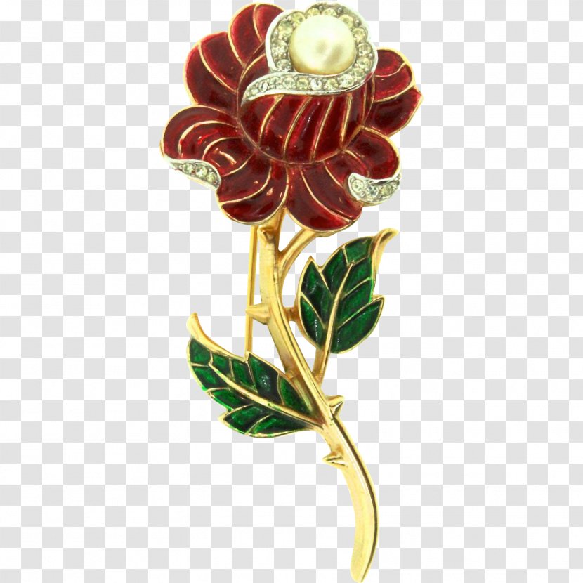 Rose Family Cut Flowers Brooch - Flower - Thorny Vector Transparent PNG