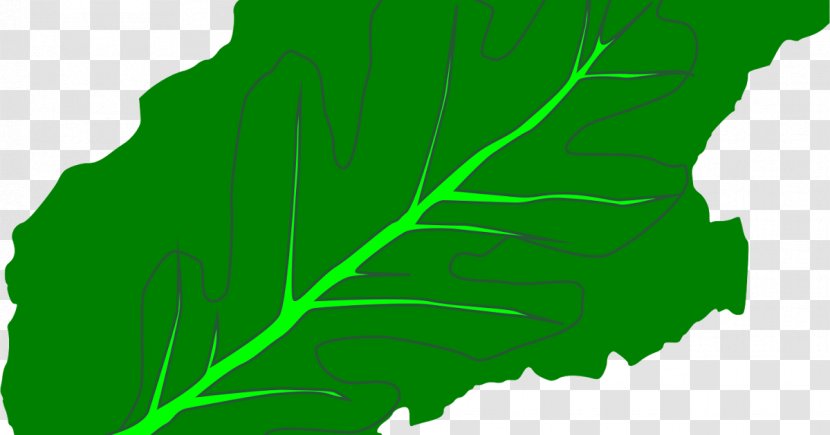 Leaf Greens Plant Stem Font Tree Transparent PNG