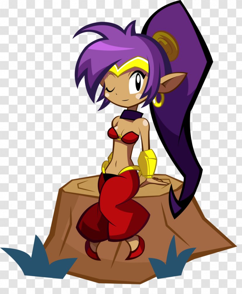 Shantae: Half-Genie Hero Shantae And The Pirate's Curse Risky's Revenge Wii U Video Game - Cartoon - Flower Transparent PNG