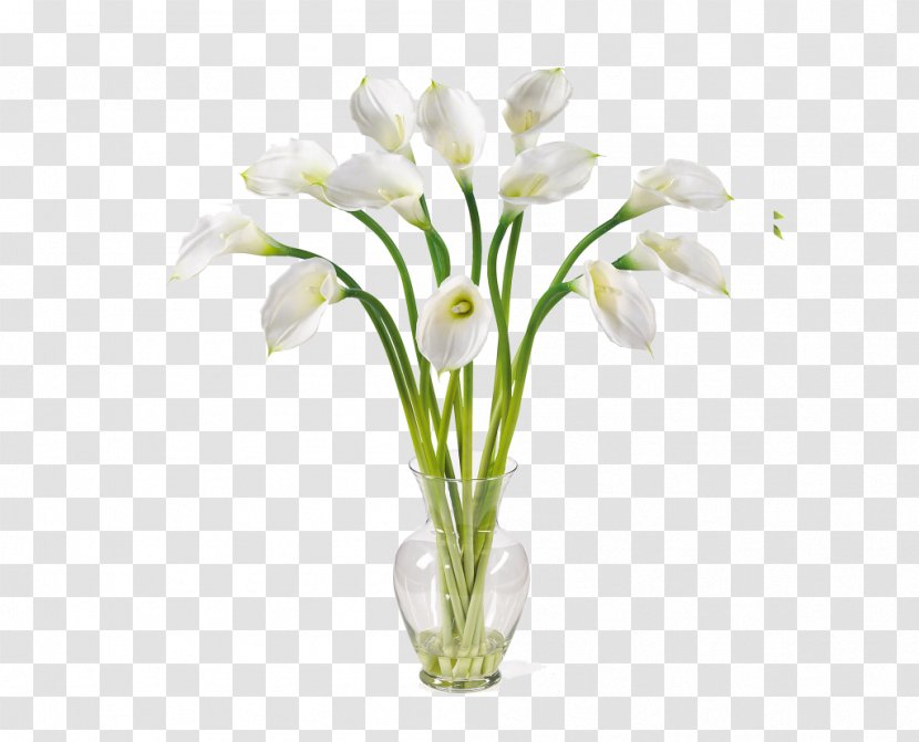 Arum-lily Artificial Flower Bog Arum - Madonna Lily Transparent PNG