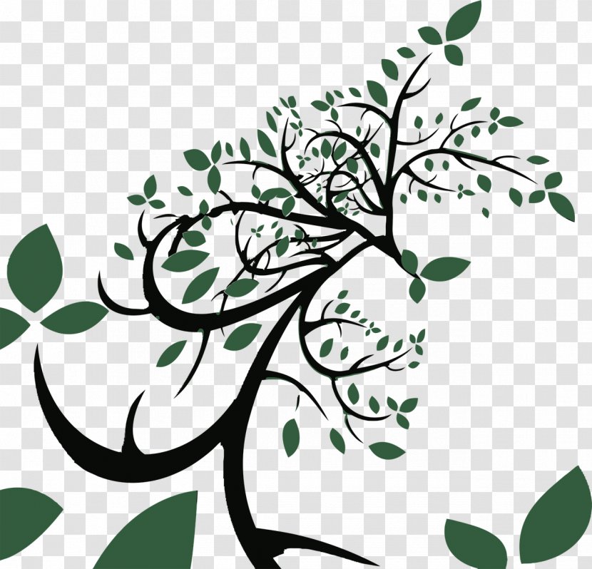 Tree Branch - Plant Stem - Twine Transparent PNG