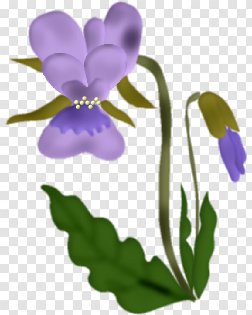 Flower Violet - Viola Transparent PNG