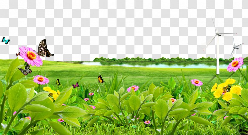Meadow Lawn Wallpaper - Field - Lake Flowers Background Material Transparent PNG