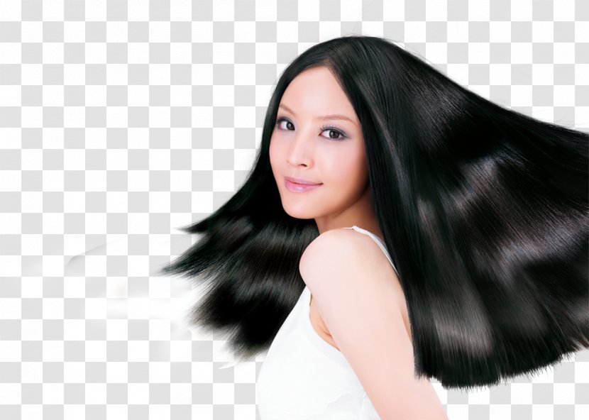 Hair Dryer Shampoo Long Care - Frame - Model Black Transparent PNG