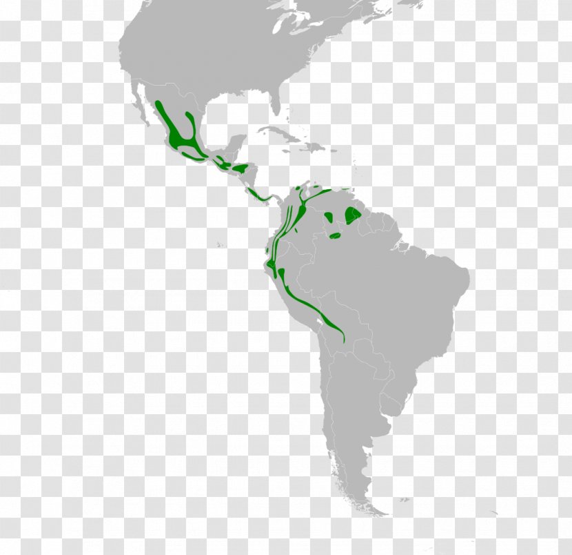 Latin America United States South Central Map Transparent PNG