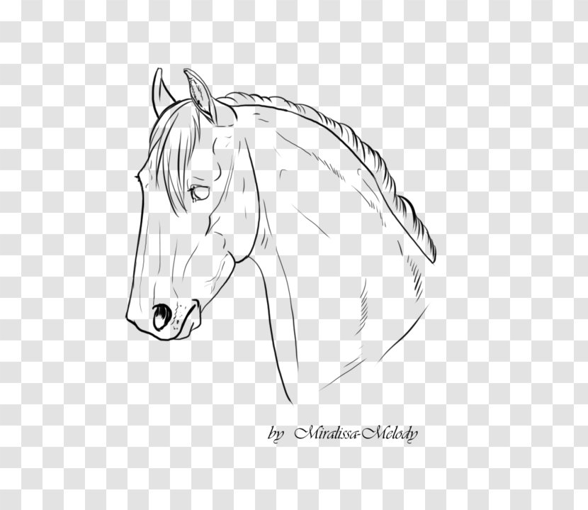 Horse Line Art Pony Mane Sketch - Head Mask Transparent PNG