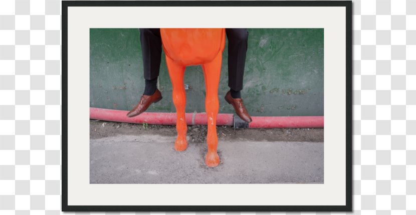 Knee Calf Flooring Heat - Dead Horse Transparent PNG