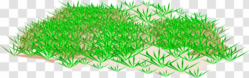 Clip Art - Grass Transparent PNG