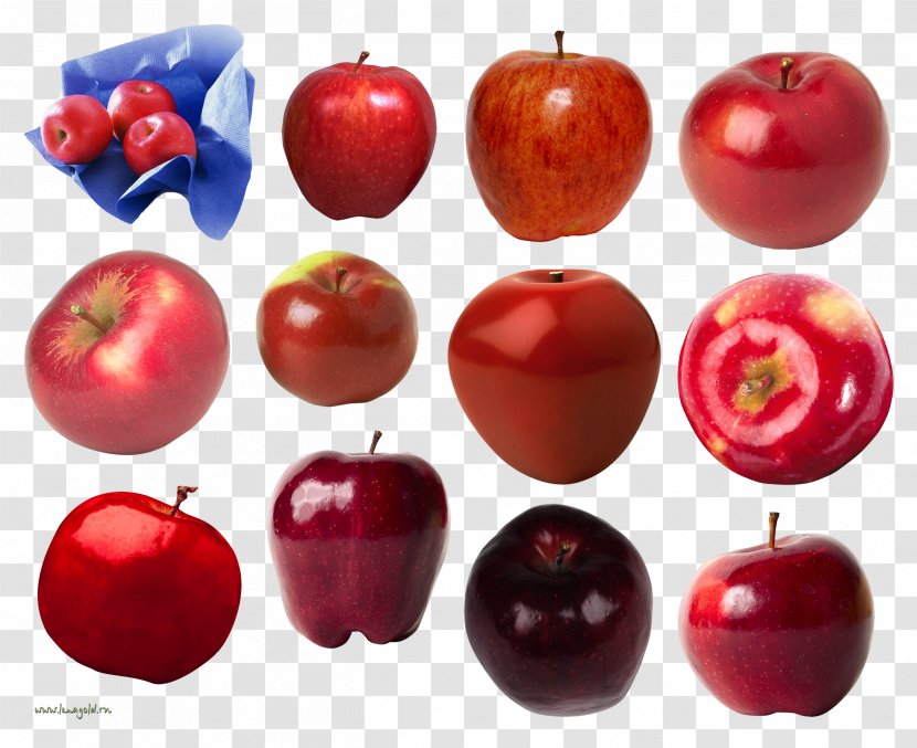 Art - Superfood - Apple Fruit Transparent PNG
