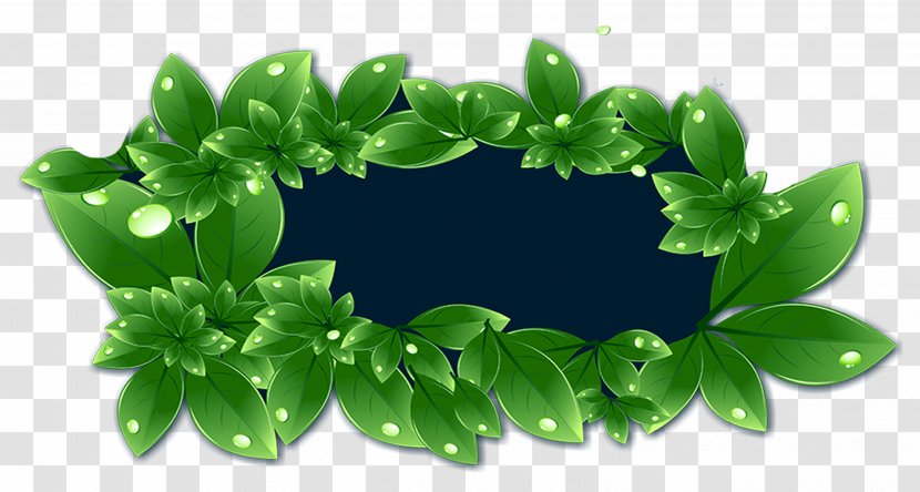 Leaf Fundal Clip Art - Green Background Transparent PNG