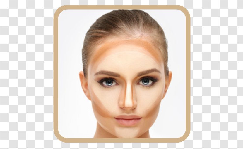 Cosmetics Contouring Face Cheek Make-up Artist - Foundation Transparent PNG