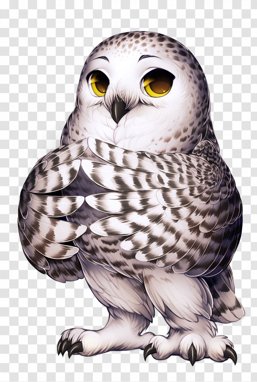Great Grey Owl Snowy Barn Bird - Longeared Transparent PNG