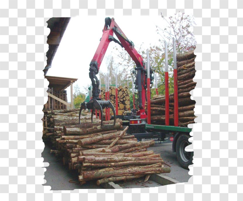 Lumber Holzmarkt Freiberg Firewood Quality Customer - Gitterbox Transparent PNG