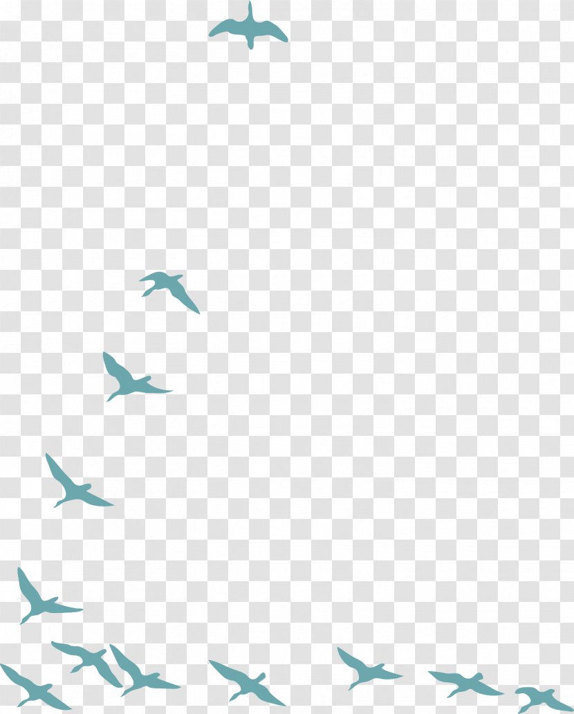 Bird Goose Domestic Pigeon Flock Transparent PNG