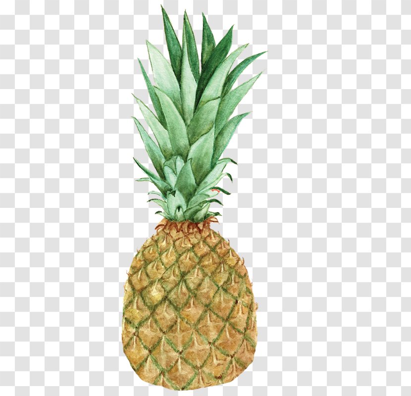 Image Photograph Graphics Desktop Wallpaper Pineapple - Food - Apple Favicon Transparent PNG