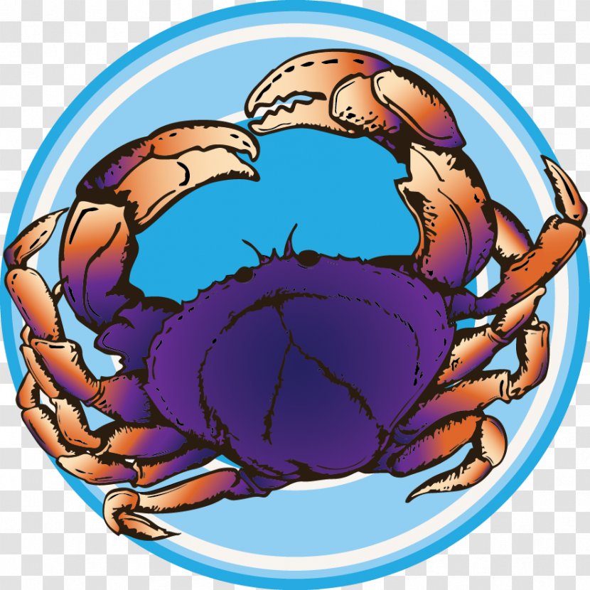 Dungeness Crab Clip Art Transparent PNG