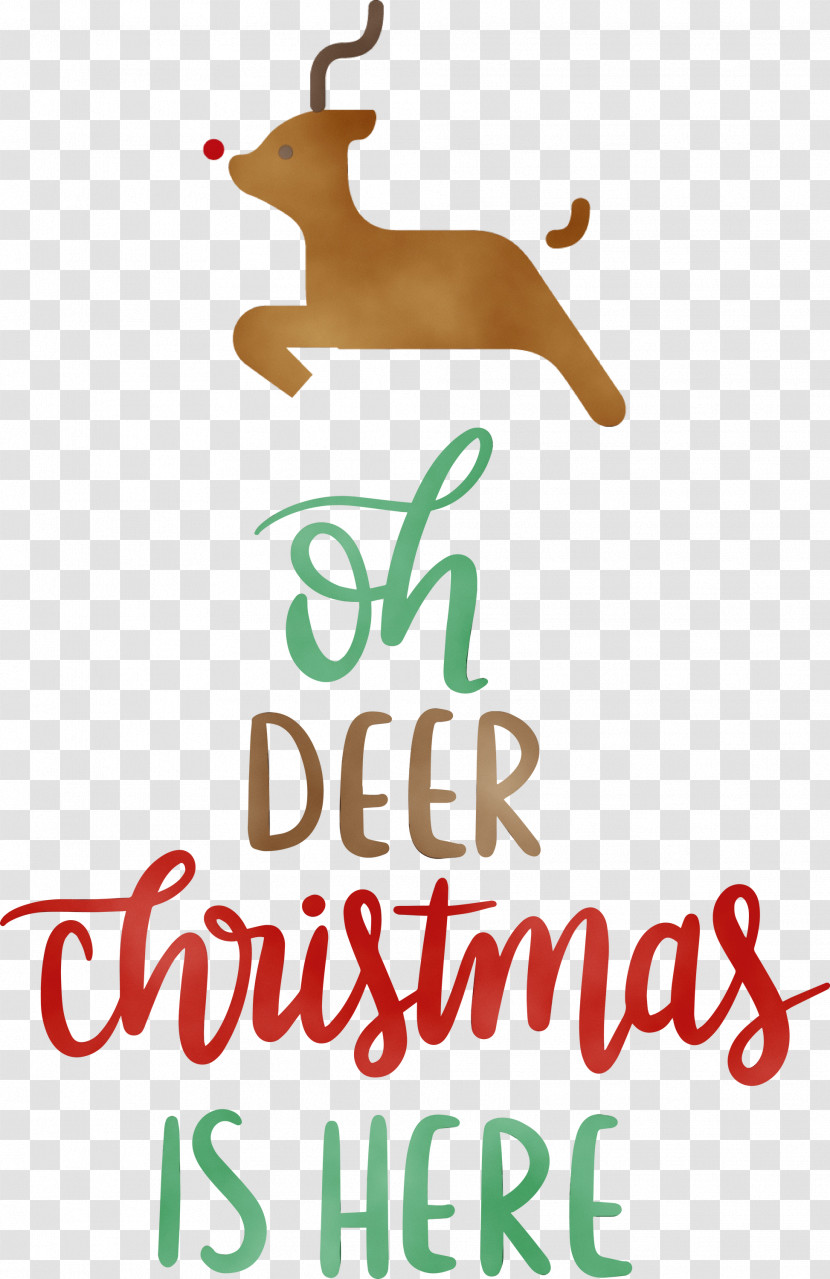 Reindeer Transparent PNG