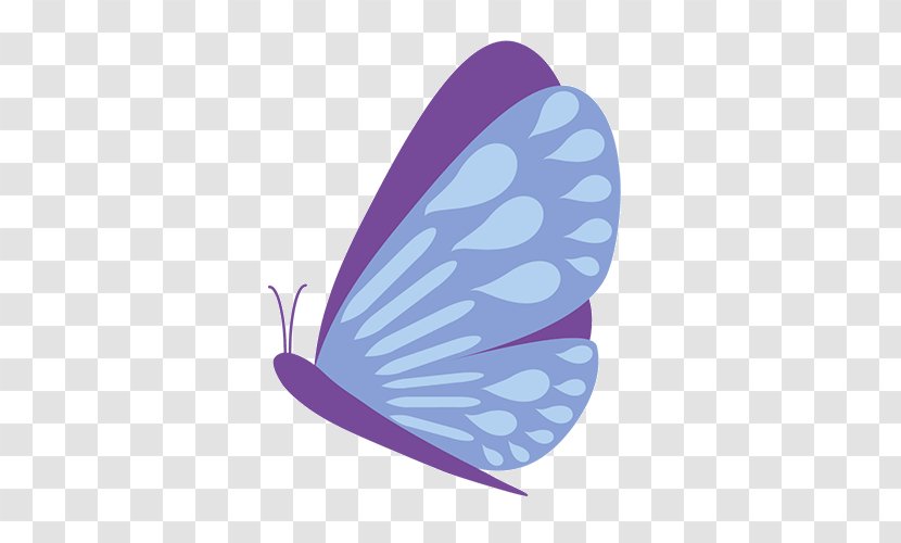 Clip Art Garden Vector Graphics Corporate Blog - Butterfly - Hemerocallus Transparent PNG