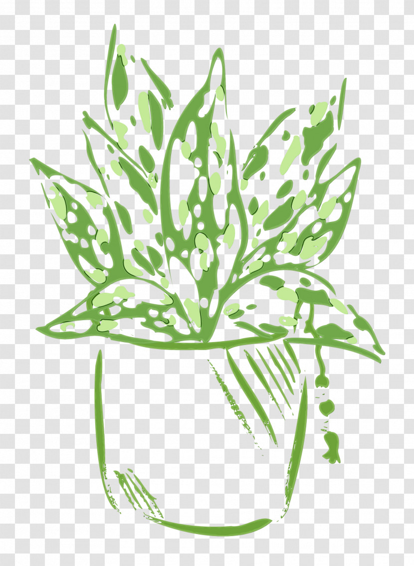 Plant Stem Flower Line Art Leaf Flowerpot Transparent PNG