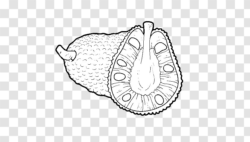 Fruit Cartoon - Jackfruit - Line Art Tropical Transparent PNG