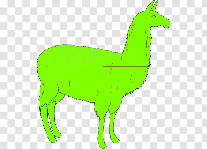 Llama Alpaca Clip Art - Tree - Fictional Character Transparent PNG