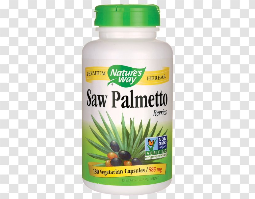 Dietary Supplement Saw Palmetto Extract Vegetarian Cuisine Capsule Transparent PNG