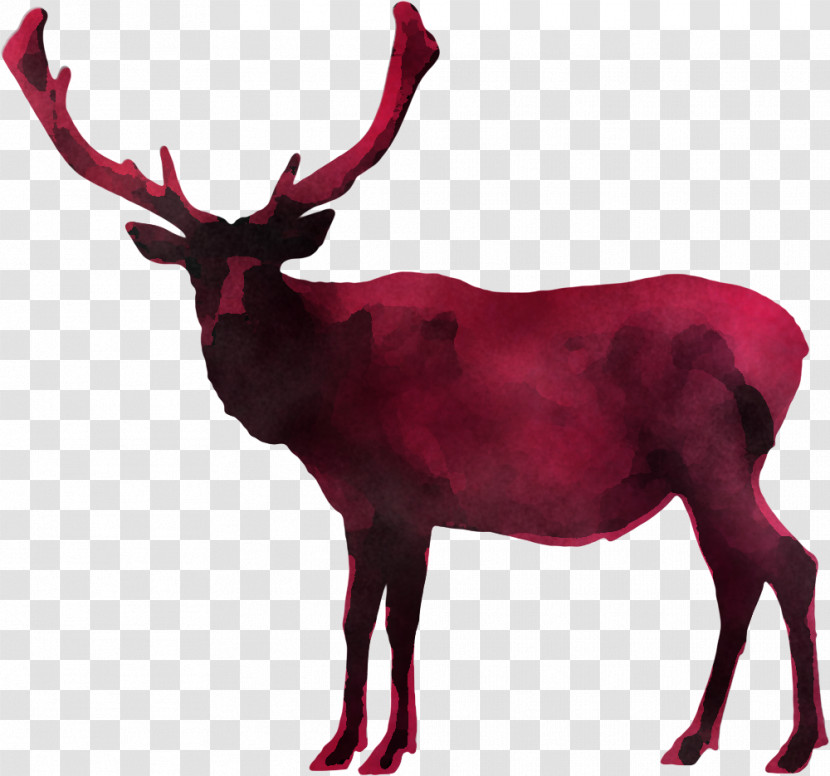 Reindeer Transparent PNG