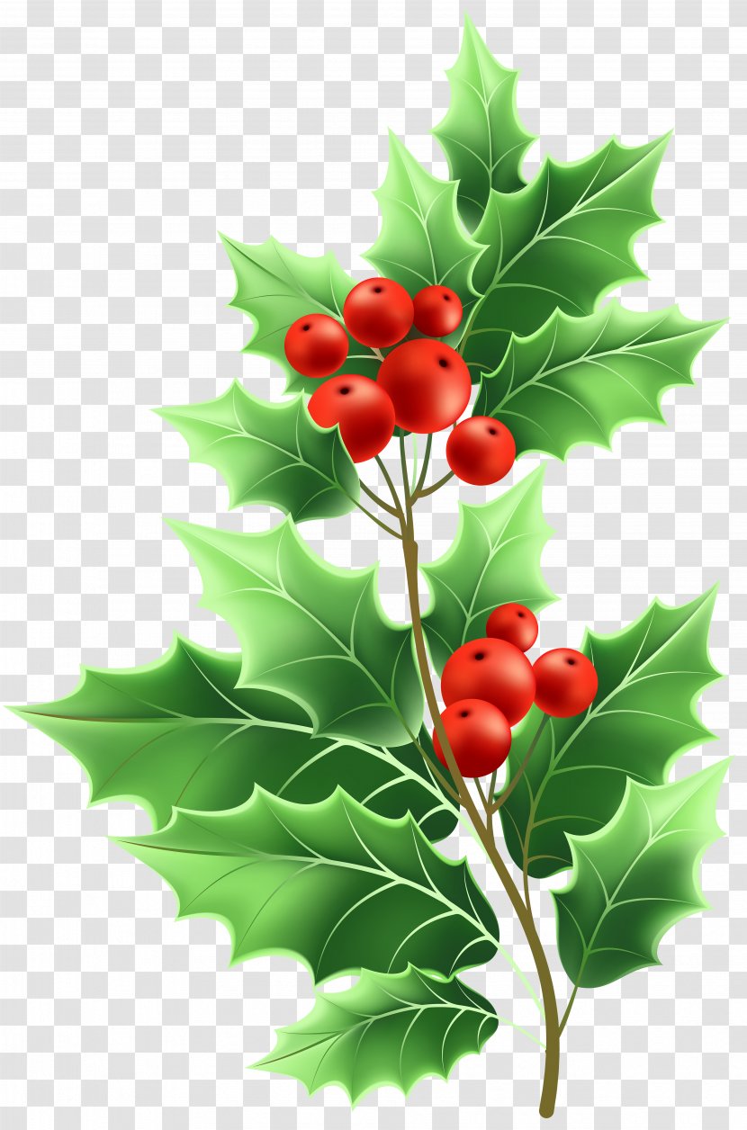 Image File Formats Lossless Compression - Common Holly - Christmas Mistletoe Transparent Clip Art Transparent PNG