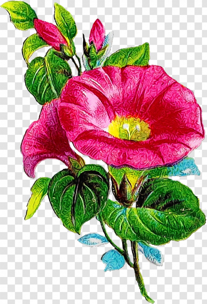 Garden Roses Transparent PNG