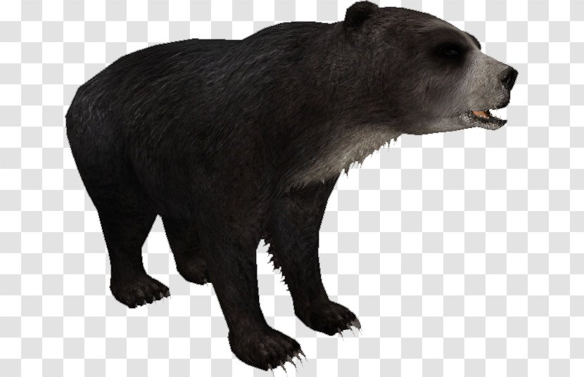 Grizzly Bear Short-faced Bears Zoo Tycoon 2 Tremarctos Floridanus - Fur Transparent PNG