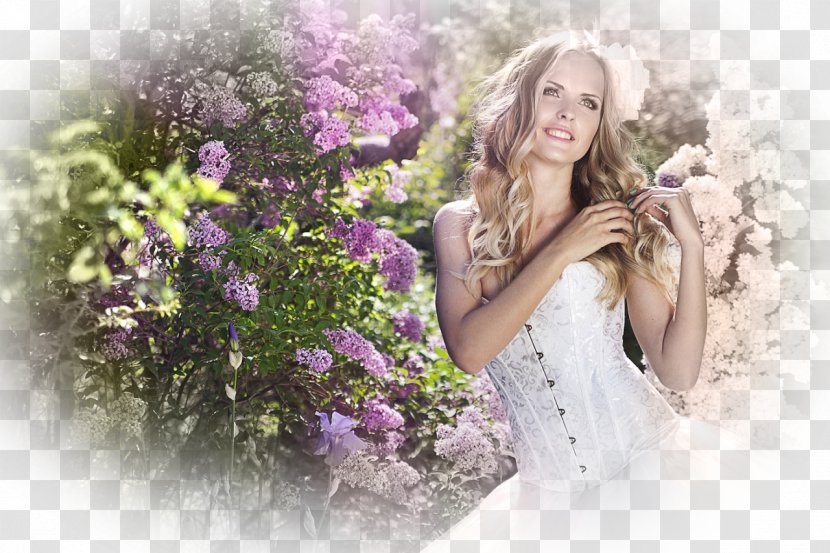 Stock Photography Royalty-free Bride - Tree - Lilac Transparent PNG