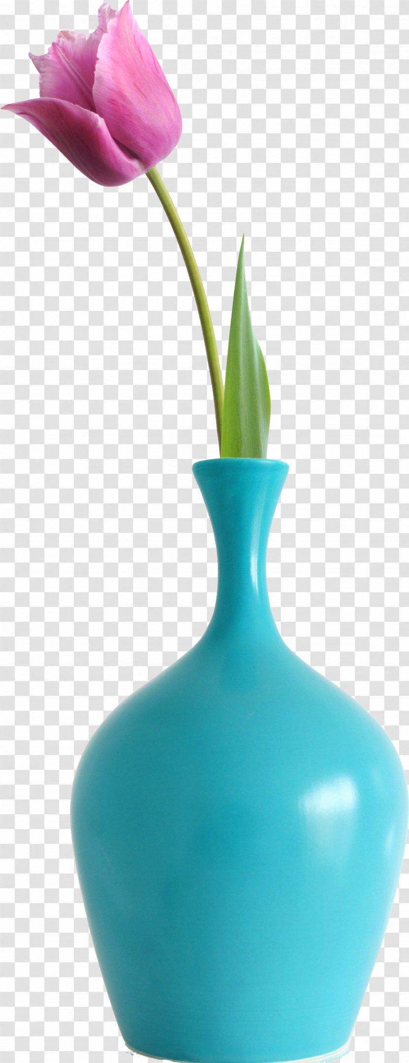 Vase Flower Photography Transparent PNG