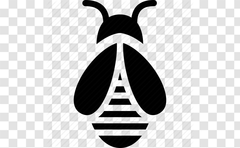 Honey Bee Insect Beehive - Pollinator - Icon Transparent PNG
